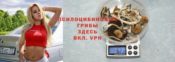 эйфоретик Алексин