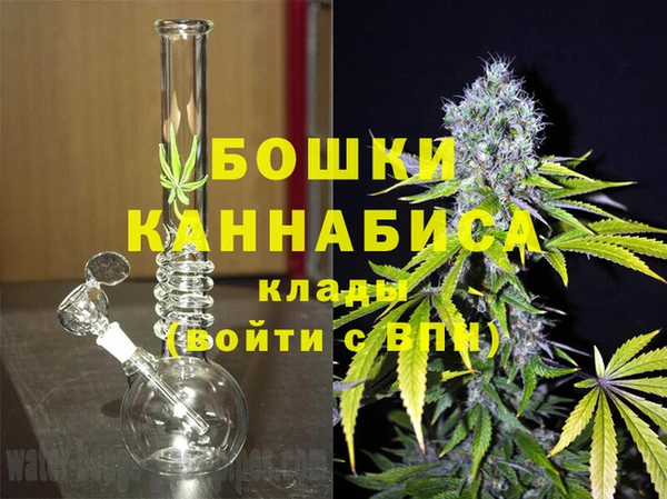 шишки Алзамай